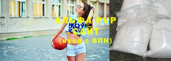 spice Новодвинск