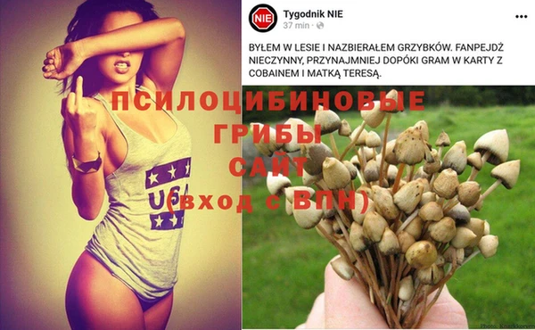 mdpv Нязепетровск