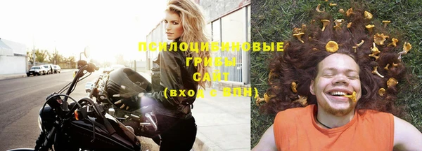 spice Новодвинск