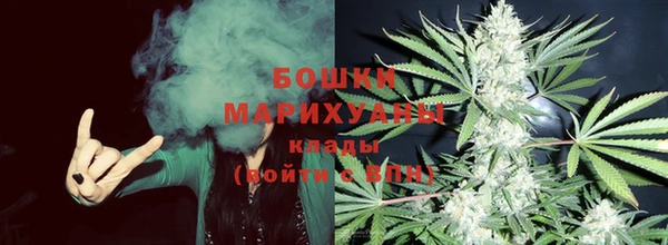 spice Новодвинск