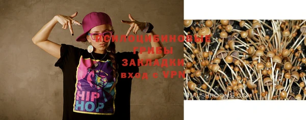 мет Аркадак