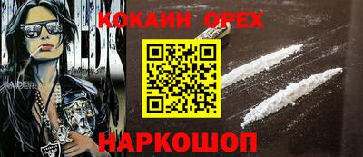 гидра Будённовск