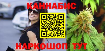 гидра Будённовск