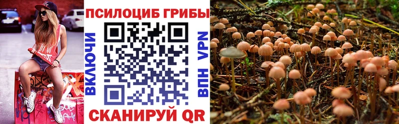 дарк нет как зайти  Ипатово  Галлюциногенные грибы мицелий 