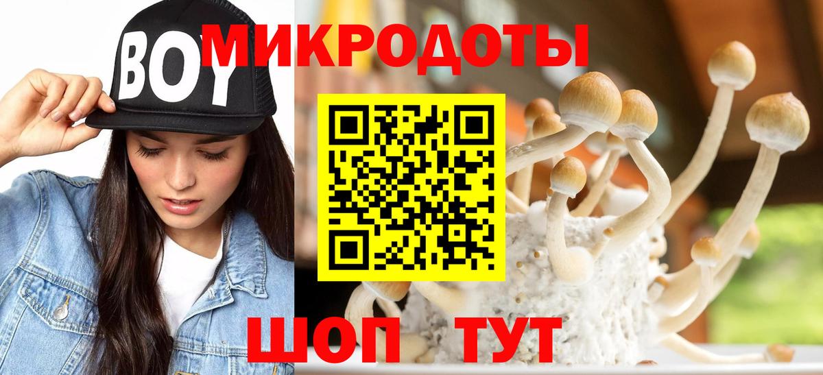 Псилоцибиновые грибы Psilocybine cubensis  Псилоцибиновые грибы мицелий  Ипатово  Вход с VPN 