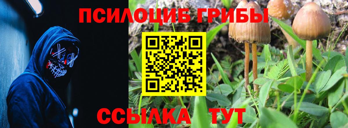 Галлюциногенные грибы мухоморы  где купить наркотик  Ипатово  Псилоцибиновые грибы Magic Shrooms 